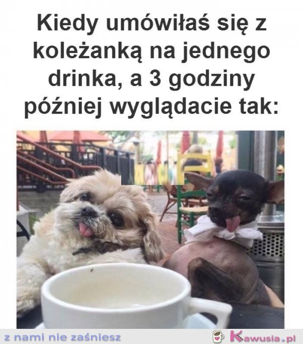 Kochana tylko jeden drink