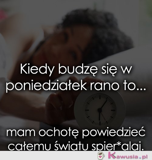 Kiedy budzę się w poniedziałek rano...