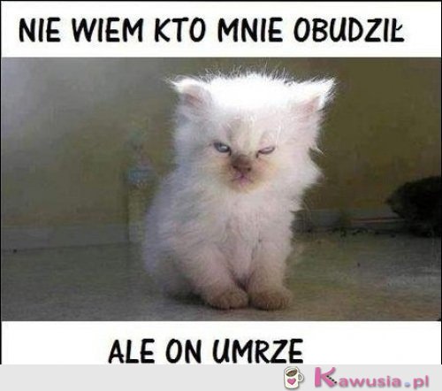 Nie wiem kto mnie obudził