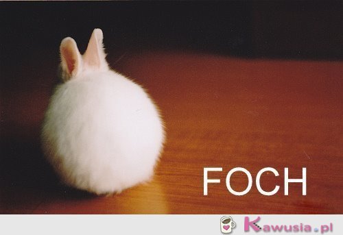 FOCH!  