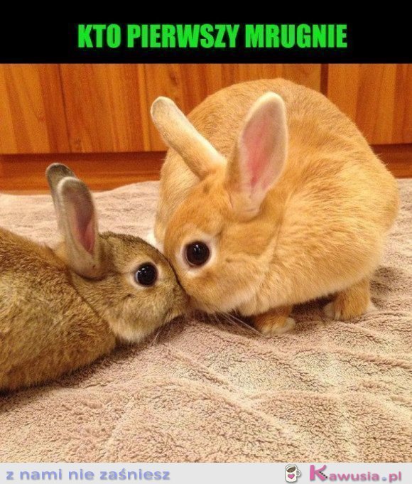 KR&Oacute;LIKOWA ZABAWA