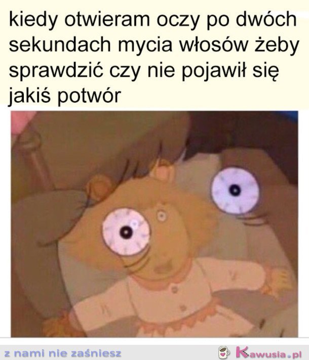 MOJE PARANOJE