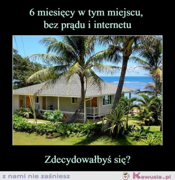 A Ty jaką decyzję podejmujesz?