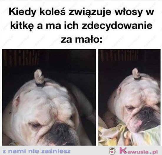 Panowie proszę nie róbcie tego 