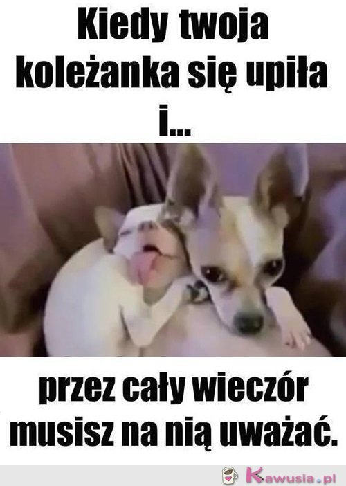 No i zaczęło się...