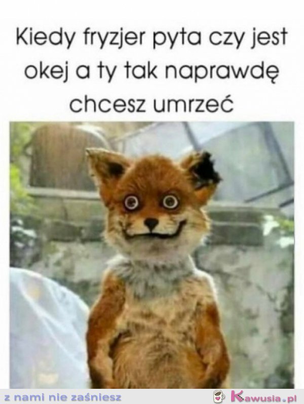 Zawsze wtedy chcę się zabić