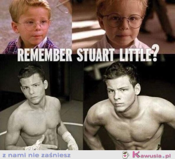 Stuart Malutki wyrósł