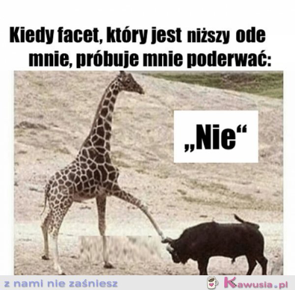 Kiedy facet, kt&oacute;ry jest niższy