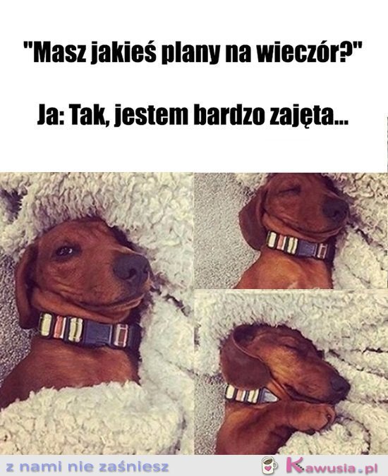 Bardzo..