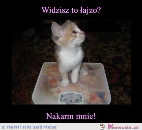 Nakarm mnie