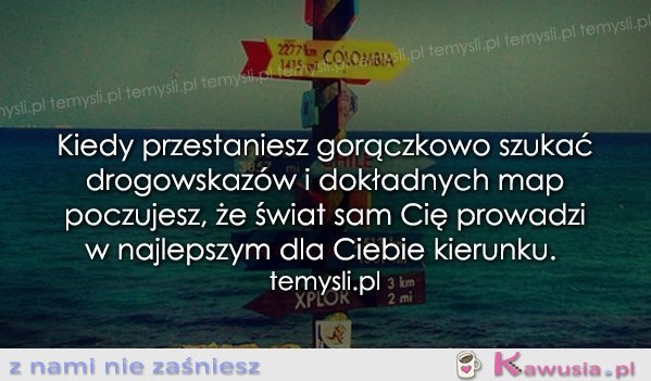 Kiedy przestaniesz gorączkowo szukać...