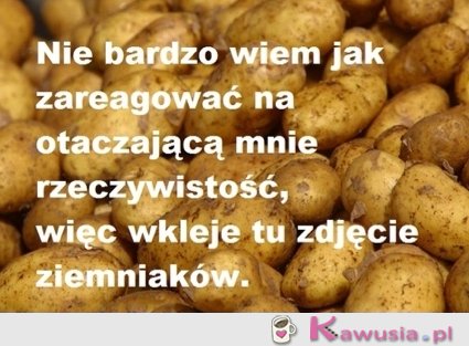 Nie bardzo wiem