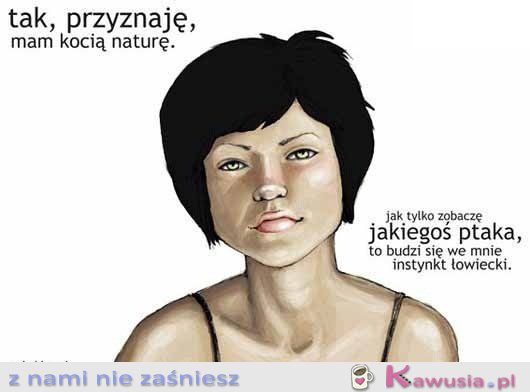 Tak, mam kocią naturę.