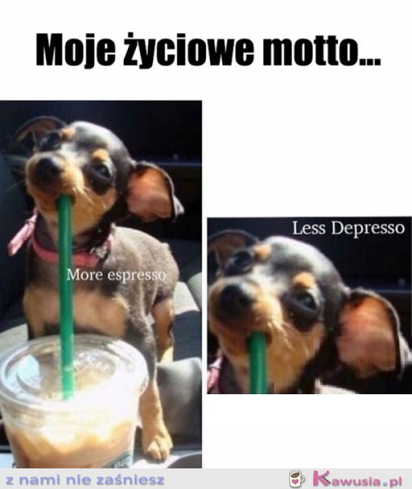 I do przodu...