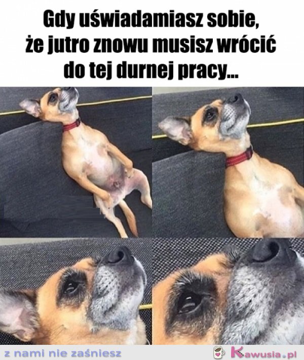 Świetnie...