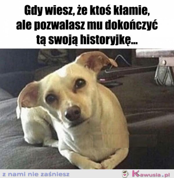 Słucham uważnie...