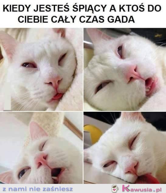 Jejku niech on już skończy