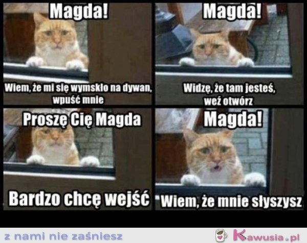 No Magda proszę Cię