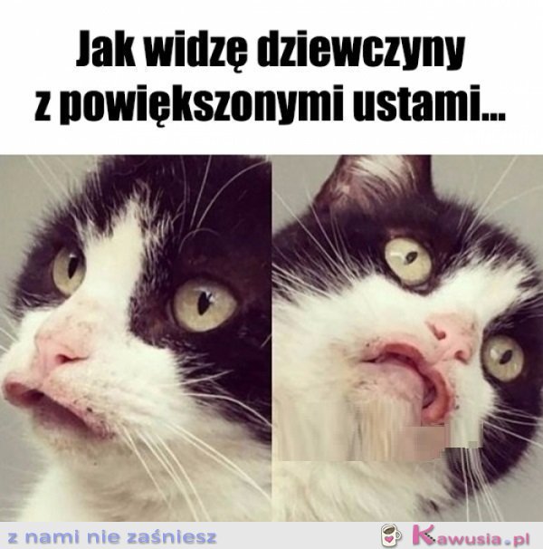 Coś w tym stylu...