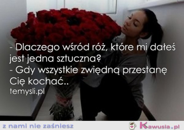 Dlaczego wśród róż, które..
