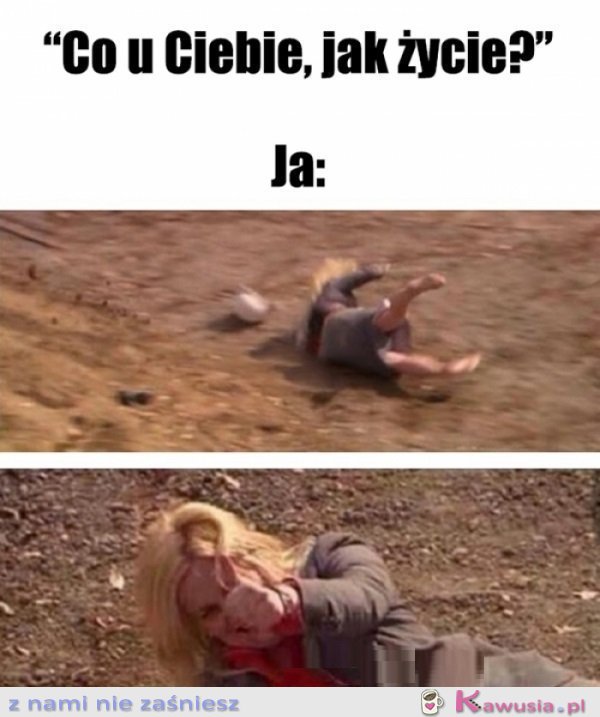 Świetnie!