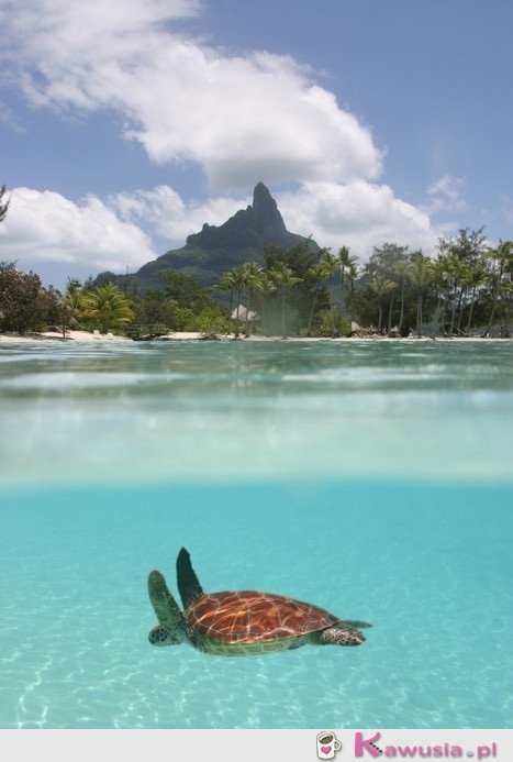 Bora bora - cudownie