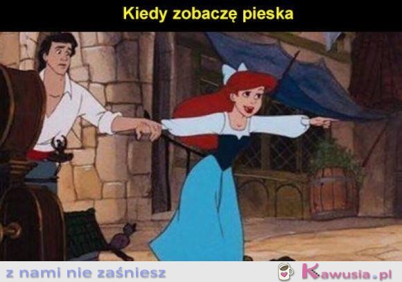 Kiedy zobaczę pieska, kocham wszystkie