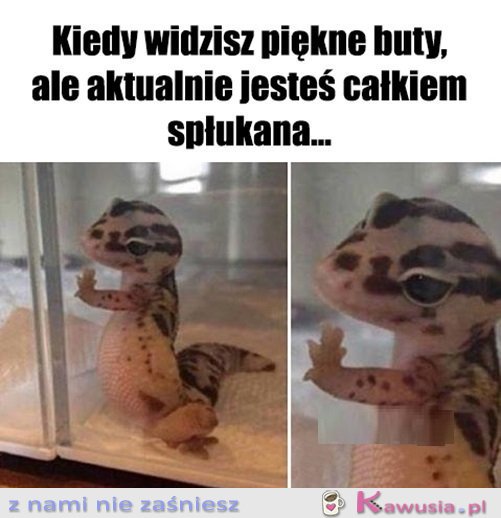 Już was nigdy nie zobaczę...