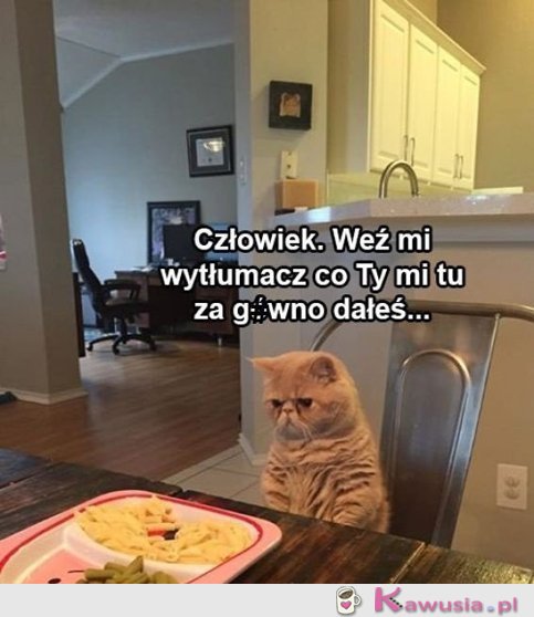 Człowiek, no co ty...