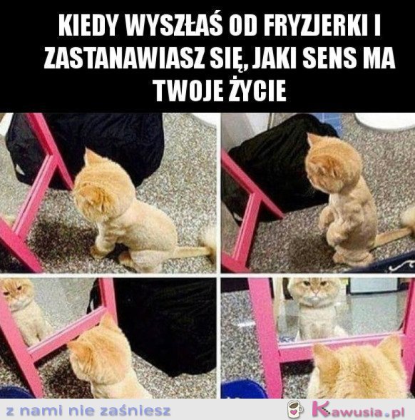 SKĄD PRZYCHODZIMY, DOKĄD ZMIERZAMY..