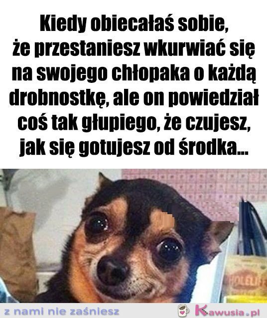No i jak tu się nie odezwać...