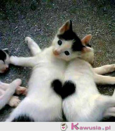 Bo razem tworzymy jedność