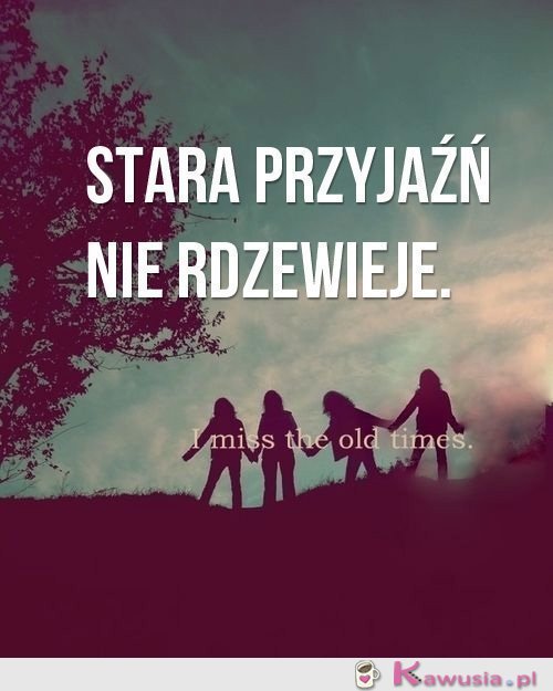 Stara przyjaźń