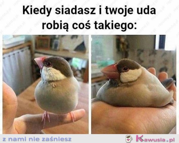 Kiedy siadasz i twoje uda