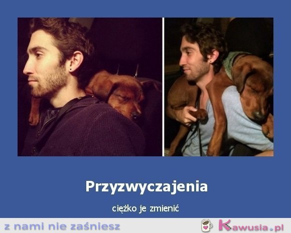 Przyzwyczajenia