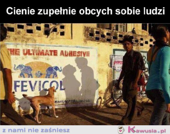 FAJNIE UŁOŻONE