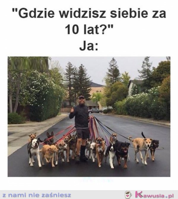 Gdzie widzisz się za 10 lat