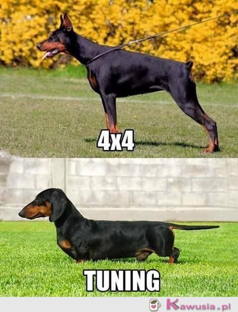 4x4 vs Tuning