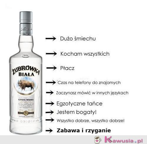 Stadia upojenia alkoholowego