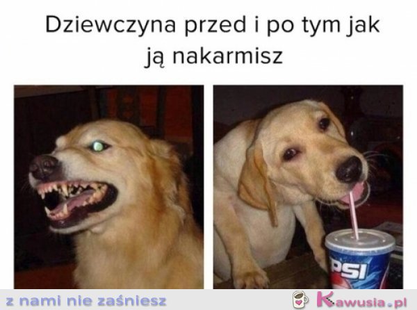 Dziewczyna po tym jak ją nakarmisz