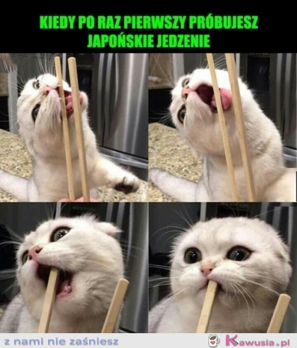 Kiedy pierwszy raz zobaczysz pałeczki