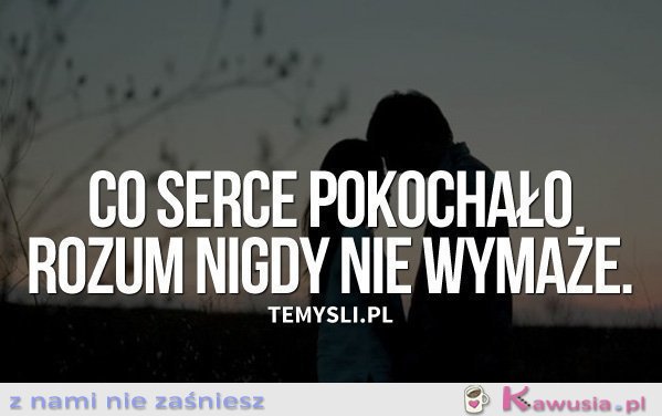 Co serce pokochało