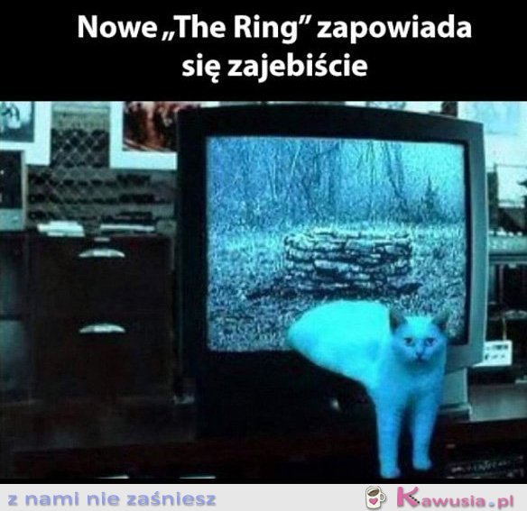Nowy odcinek The Ring