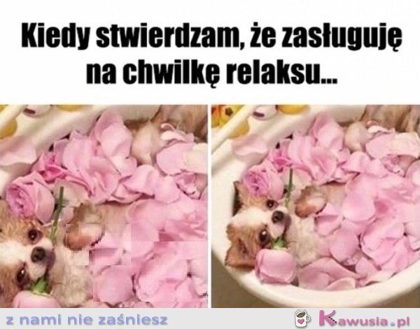 Się należy, a co...