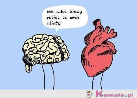 Nie lubie kiedy robisz ze mnie idiotę!