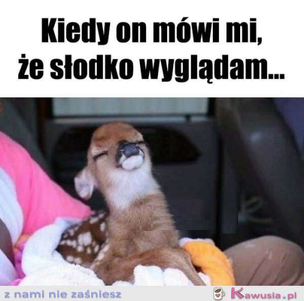 Się wie...