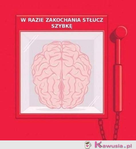 W razie zakochania