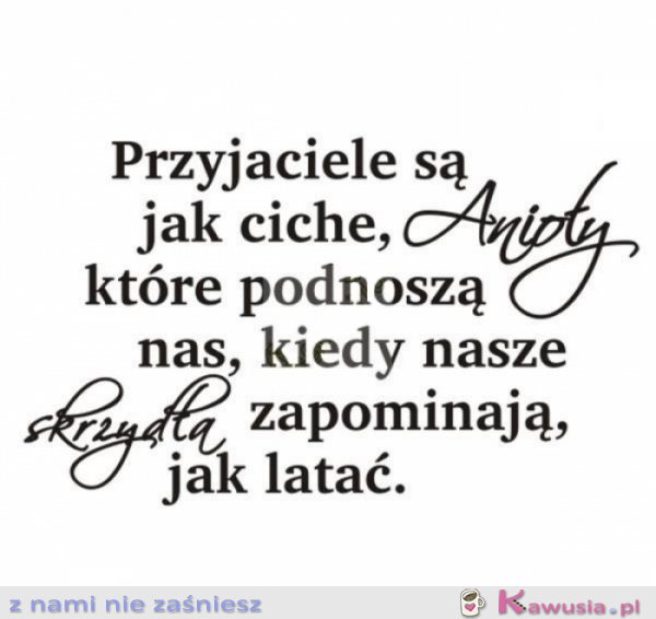 Przyjaciele...