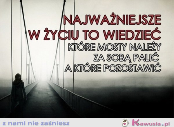 Najważniejsze w życiu to wiedzieć...