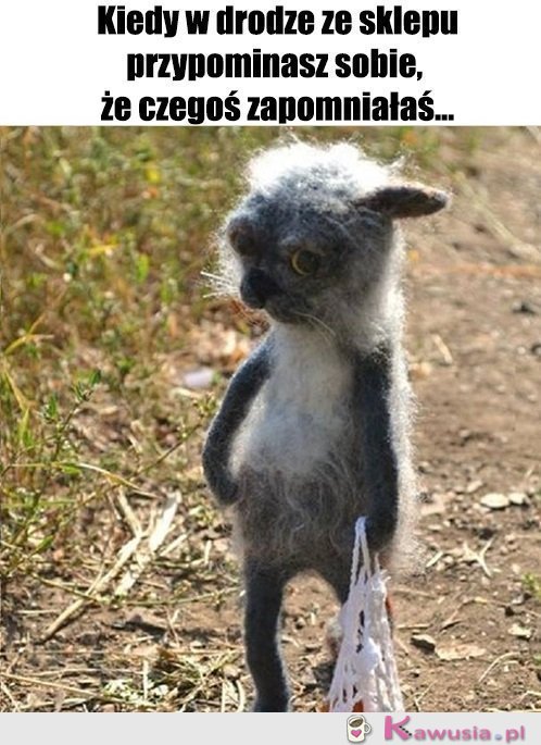 Znowu...